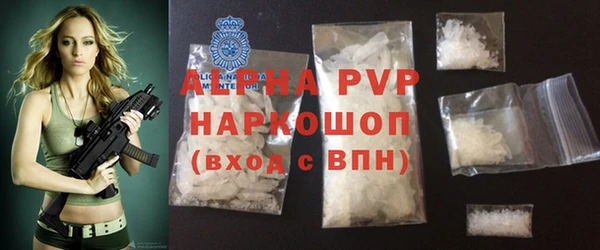 индика Бронницы