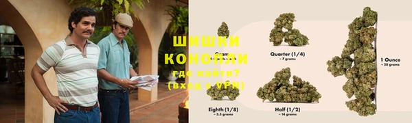 прущая мука Богданович