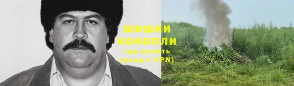 mdma Бородино