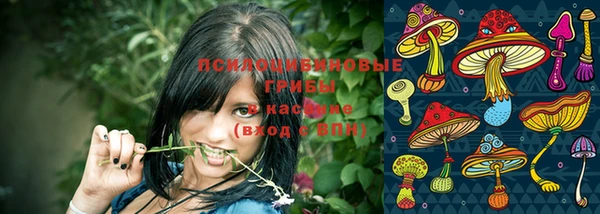 прущая мука Богданович