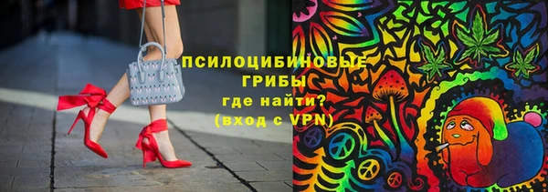 первитин Богородск