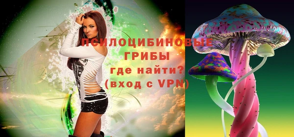 первитин Богородск