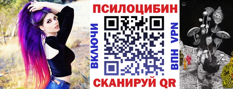 закладки  Волжский  Псилоцибиновые грибы ЛСД 