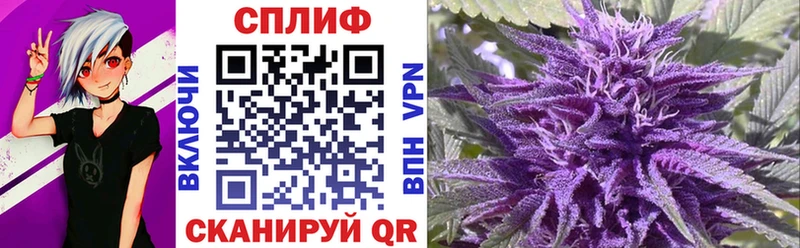 Канабис OG Kush Волжский